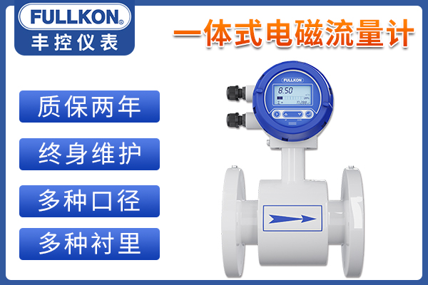豐控LDG-SUP-E智能電磁流量計(jì)
